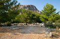 0287 Priene